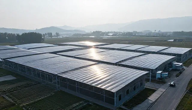 技术优化背景下企业选型关注点的演变与实践